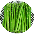 Green Frozen Asparagus frozen Vegetables